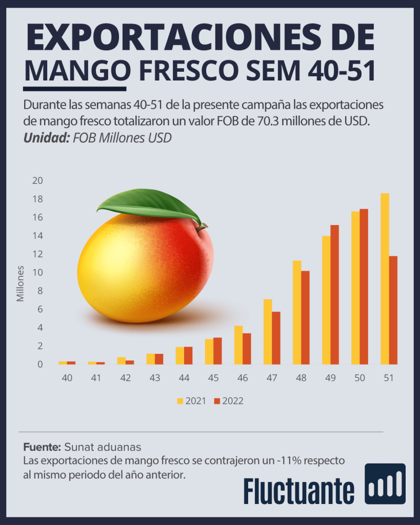 Exportaciones de mango fresco peruano semana 40-51 campaña 2022 - 2023