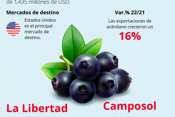 Exportaciones de arándanos peruanos 2022