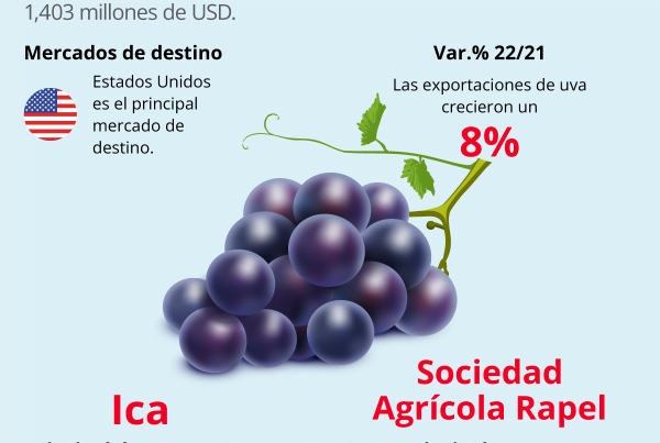 Exportaciones peruanas de uva en el 2022