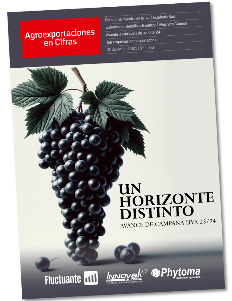 🍇 Agroexportaciones en Cifras | Fluctuante | Un horizonte distinto Uva 📈