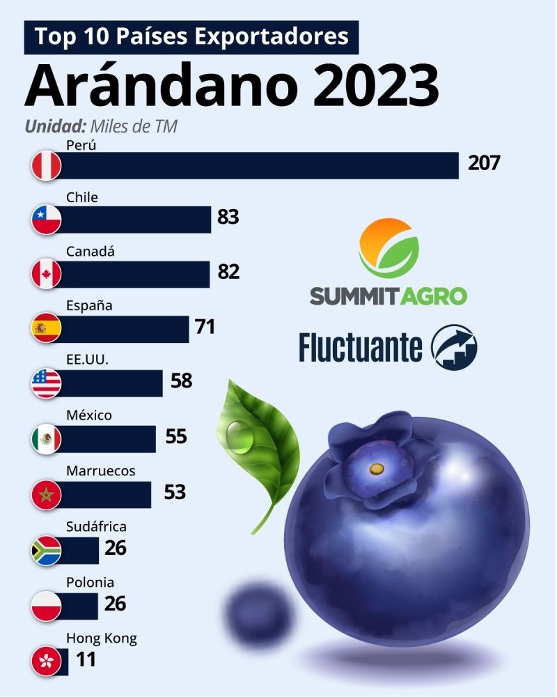 Países Exportadores de Arándano