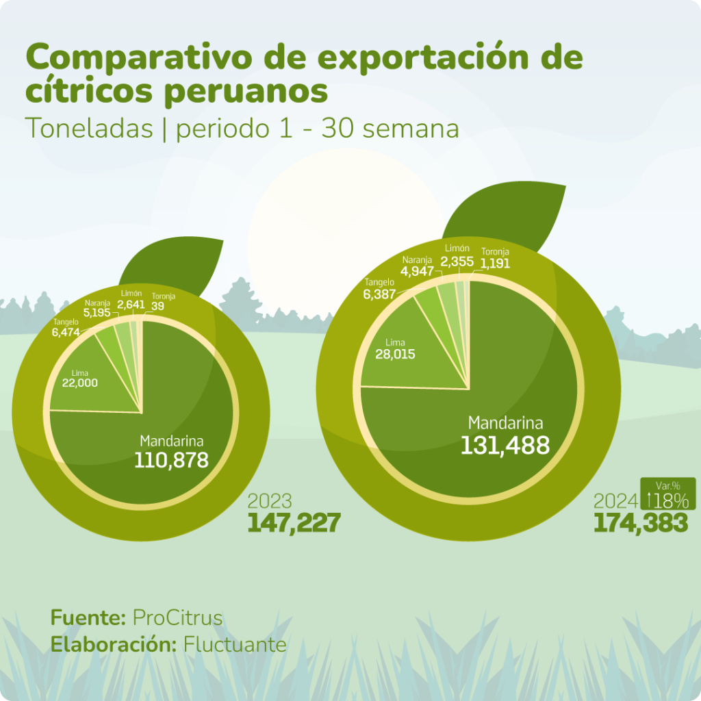 exportacion de citricos, citricos peruanos, ProCitrus