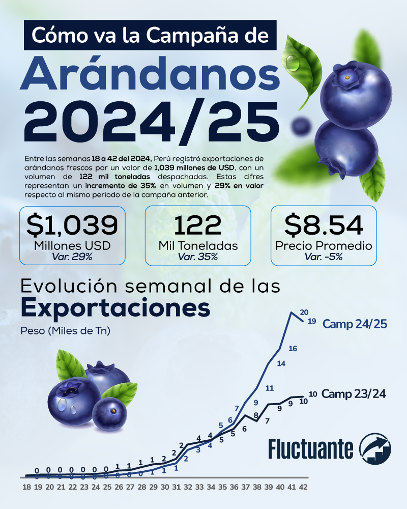 exportacion-arandanos-peruano-campaña-2024-2025