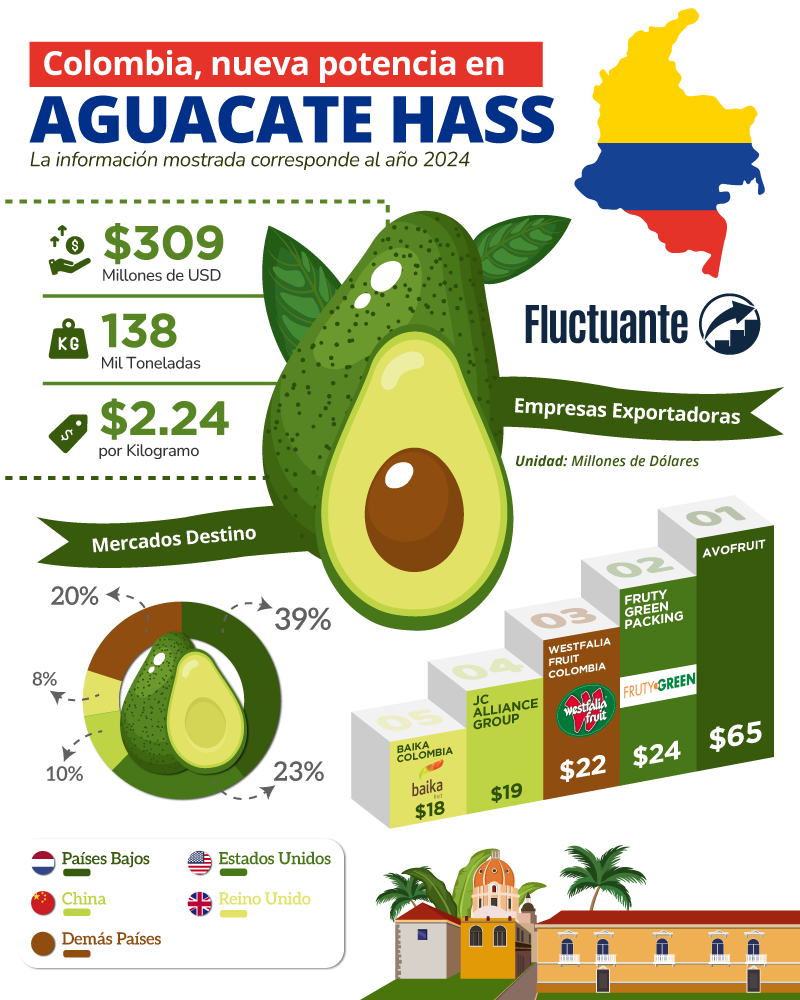 colombia-nueva-potencia-en-aguacate-hass