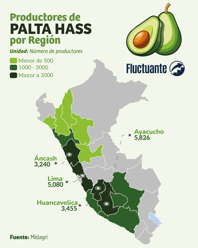 Productores-de-Palta-Hass-por-Región