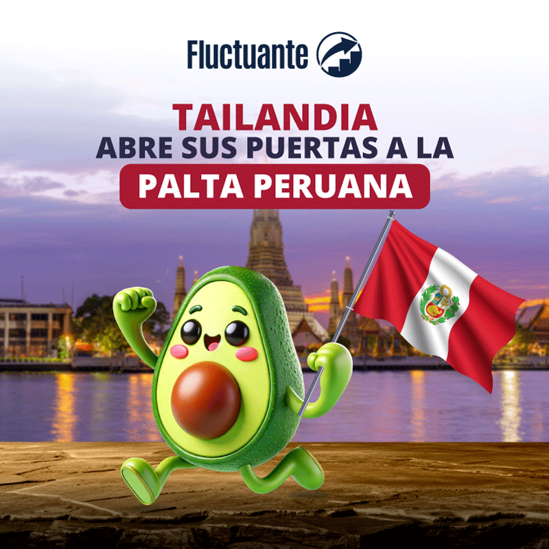 Tailandia-abre-sus-puertas-a-la-palta-peruana