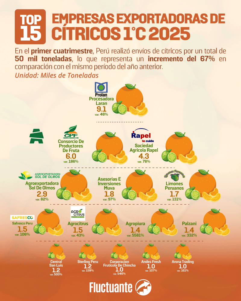 Top-15-empresas-exportadoras-de-Cítricos-1C-2025