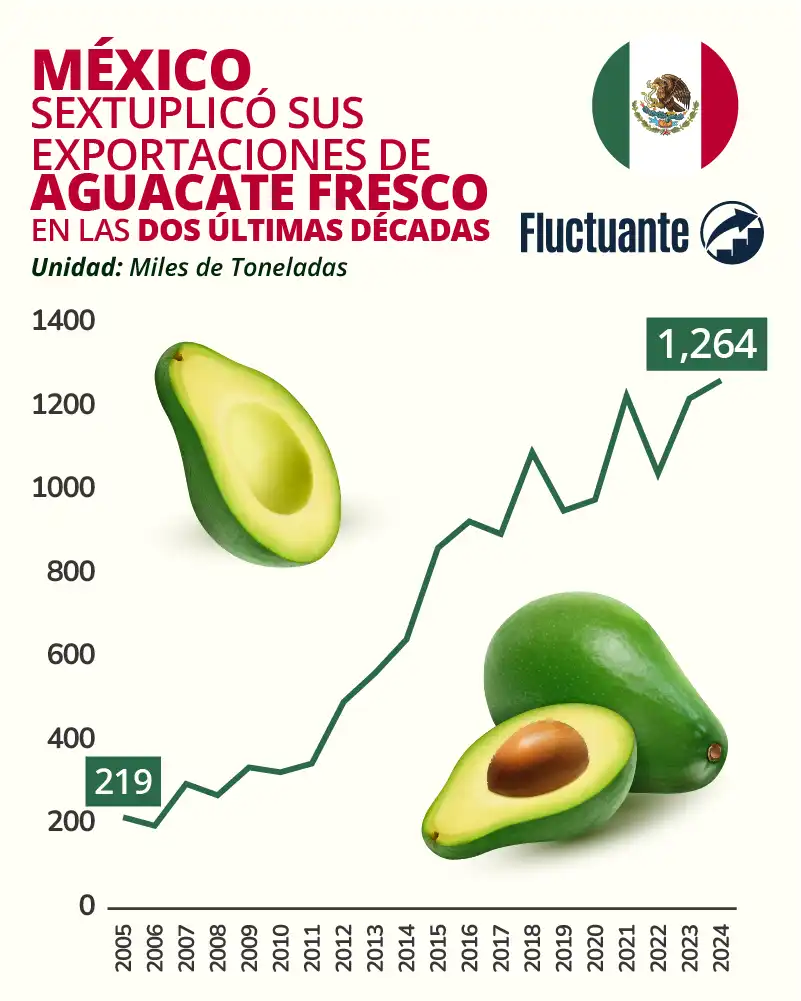 México-sextuplicó-sus-exportaciones-de-palta-fresca