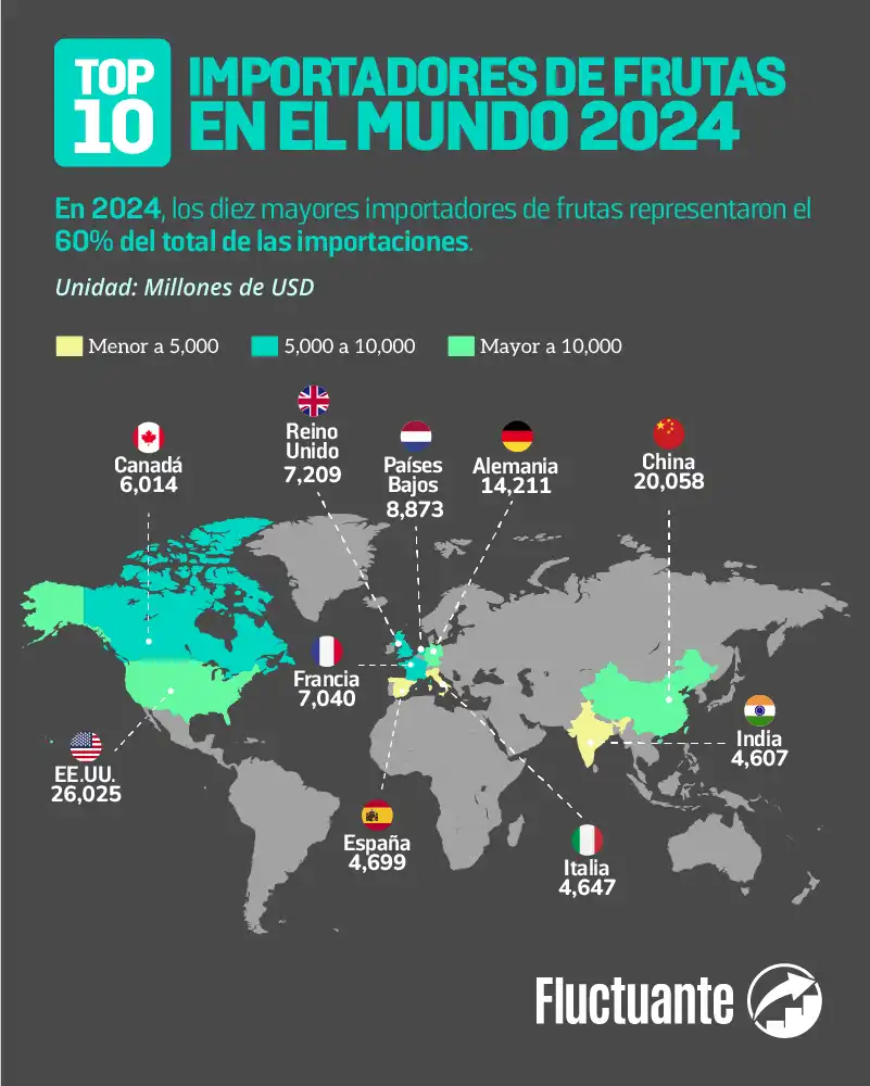 Top-10-Importadores-de-Frutas-2024