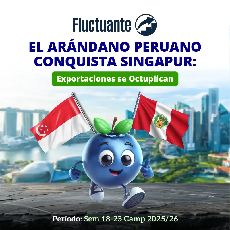 Arándano-Peruano-conquista-las-importaciones-de-Singapur