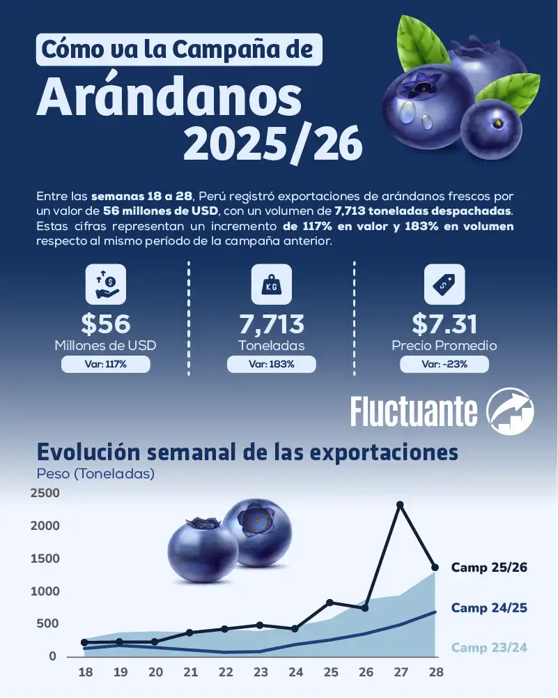 Cómo-va-la-campaña-de-arándanos-2025-26