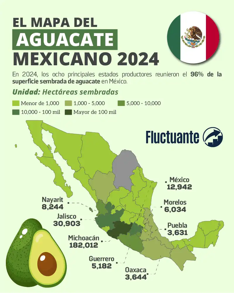 El-Mapa-del-Aguacate-Mexicano-2024
