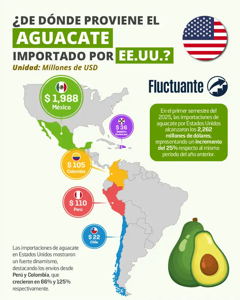 Aguacate importado por Estados Unidos