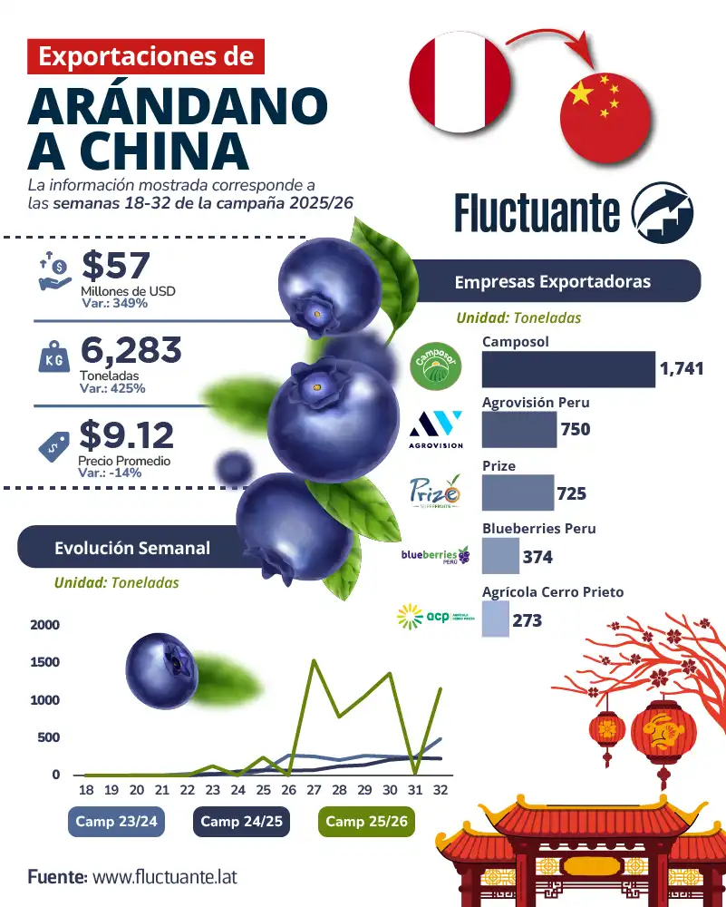 Exportaciones-de-Arándano-a-China