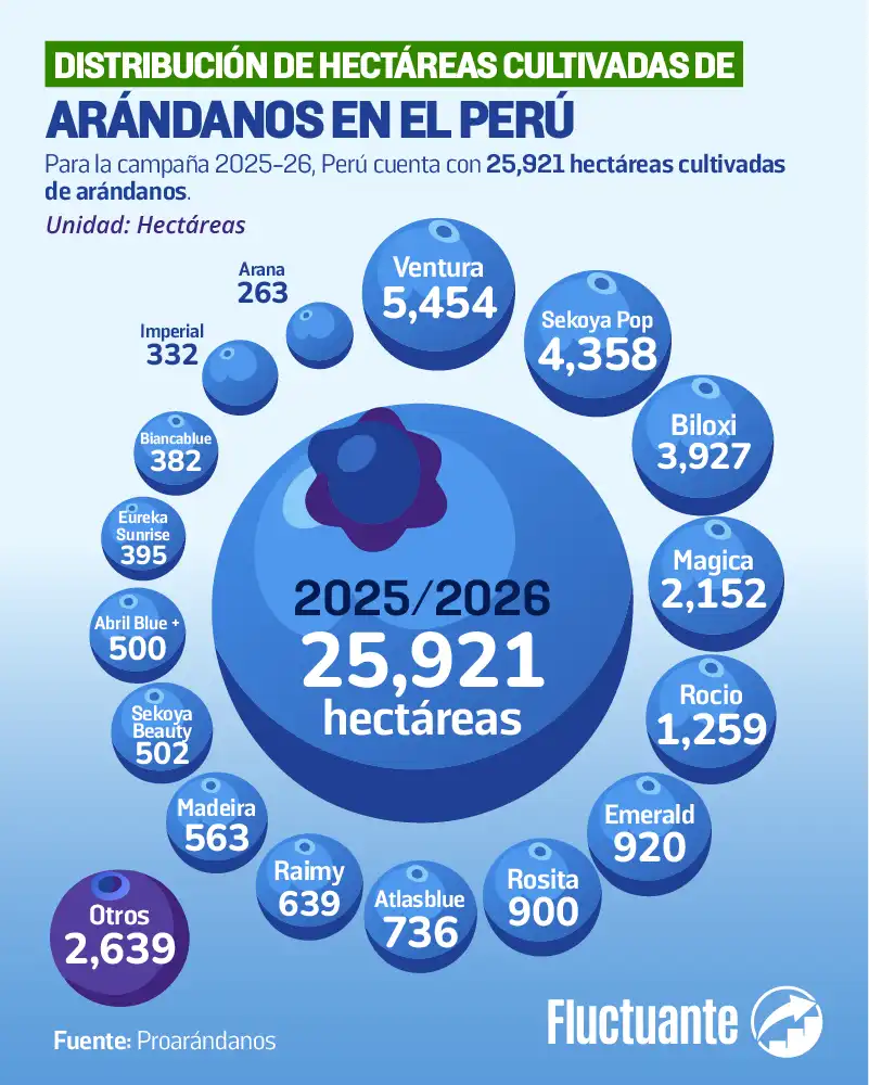 Distribución-de-Ha-de-Cultivadas-Arándanos