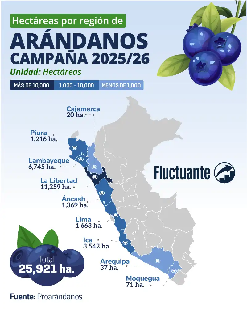Hectáreas-por-región-Arándanos-2025-26