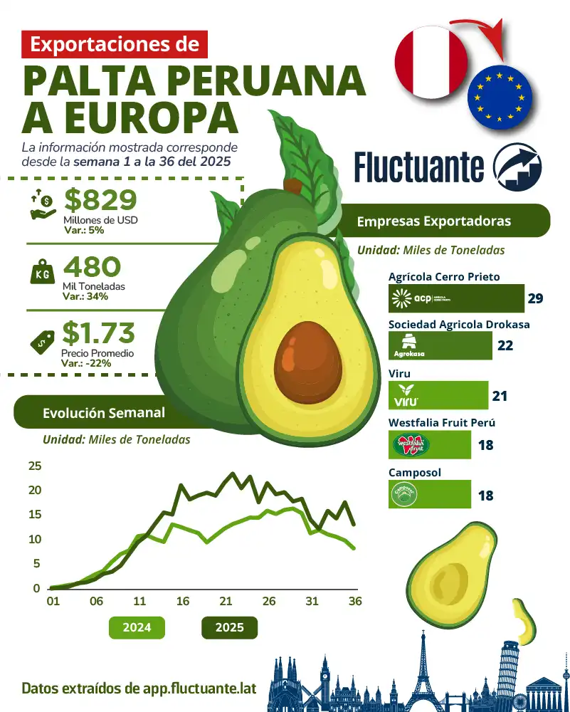 Exportaciones-Palta-Peruana-a-Europa