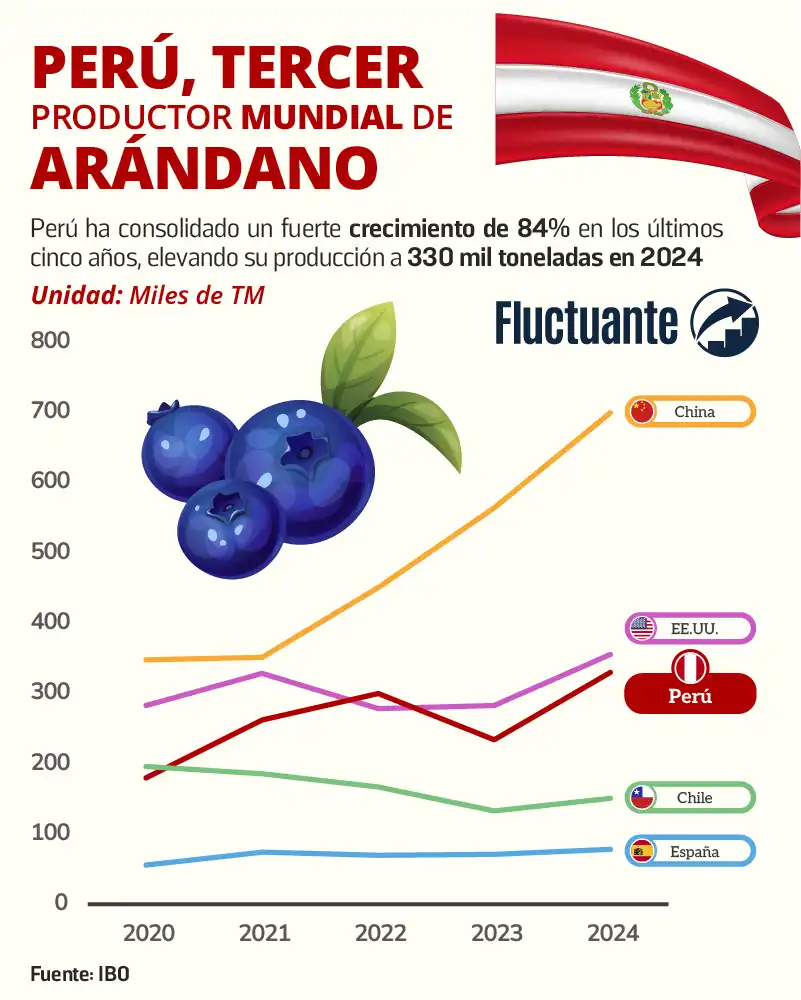 Perú,-tercer-productor-mundial-arándanos