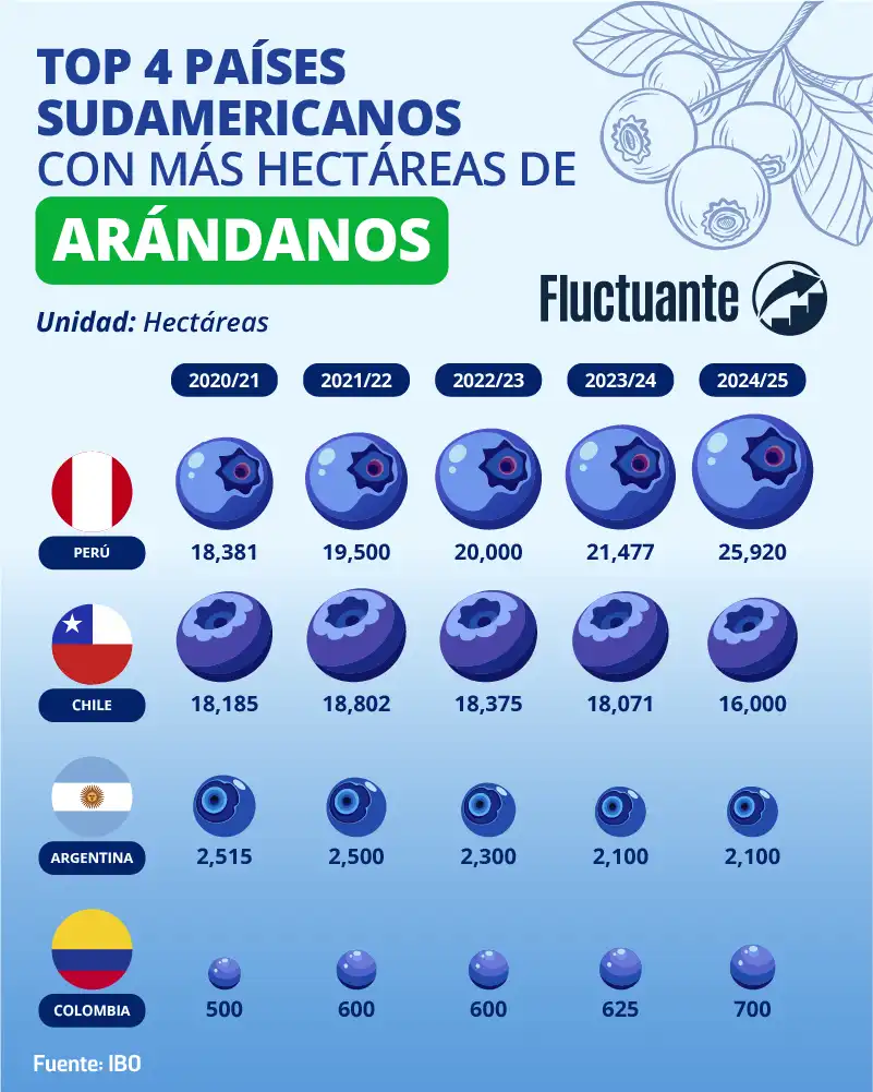 Top-4-países-sudamericanos-ha-arándano