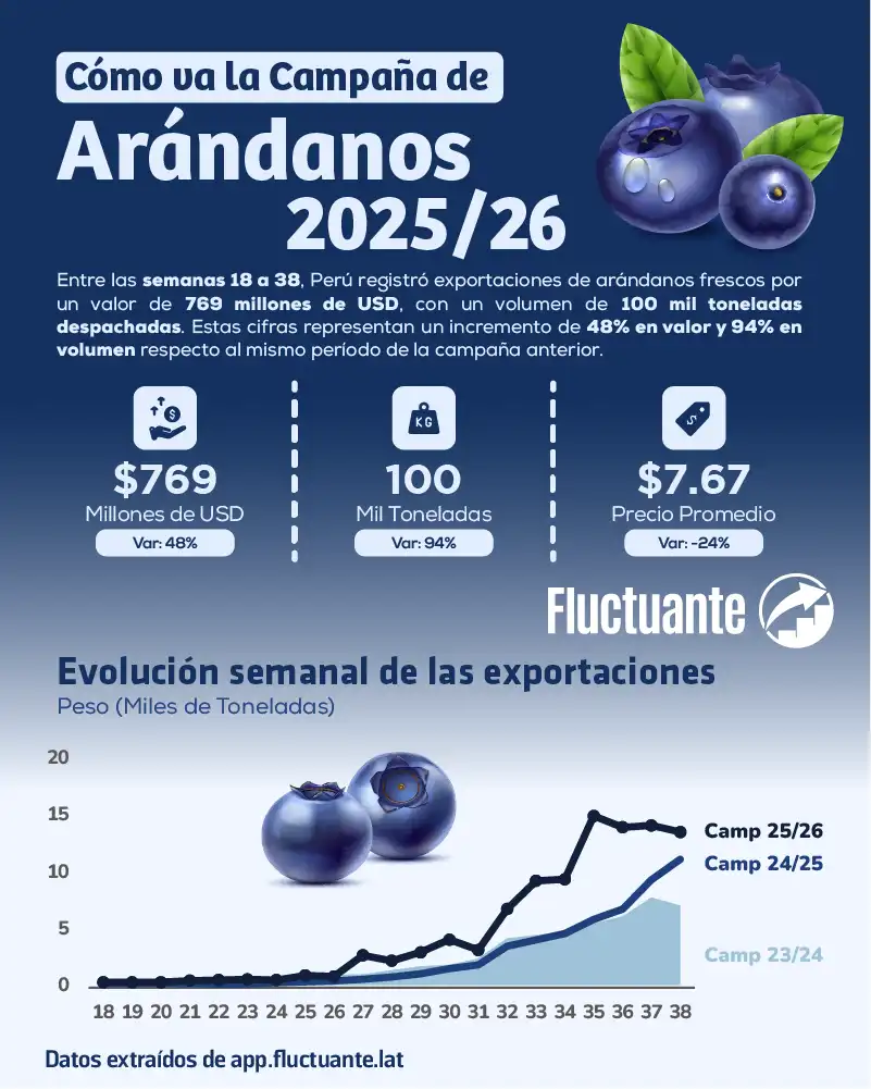 Cómo-va-la-Campaña-de-Arándanos-2025-26