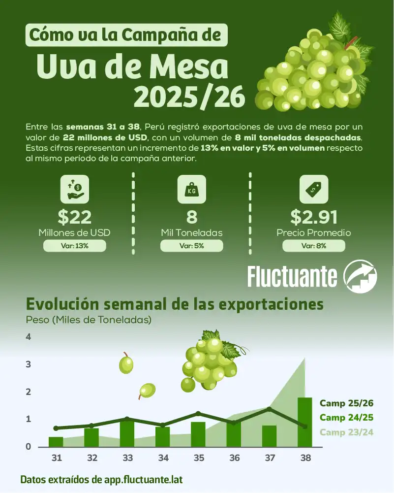 Cómo-va-la-Campaña-de-Uva-2025-26