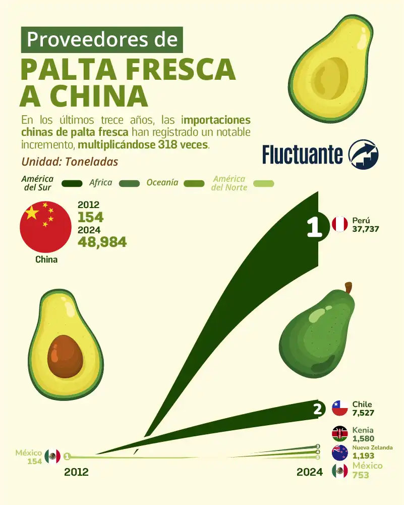 Proveedores-de-Palta-Fresca-a-China