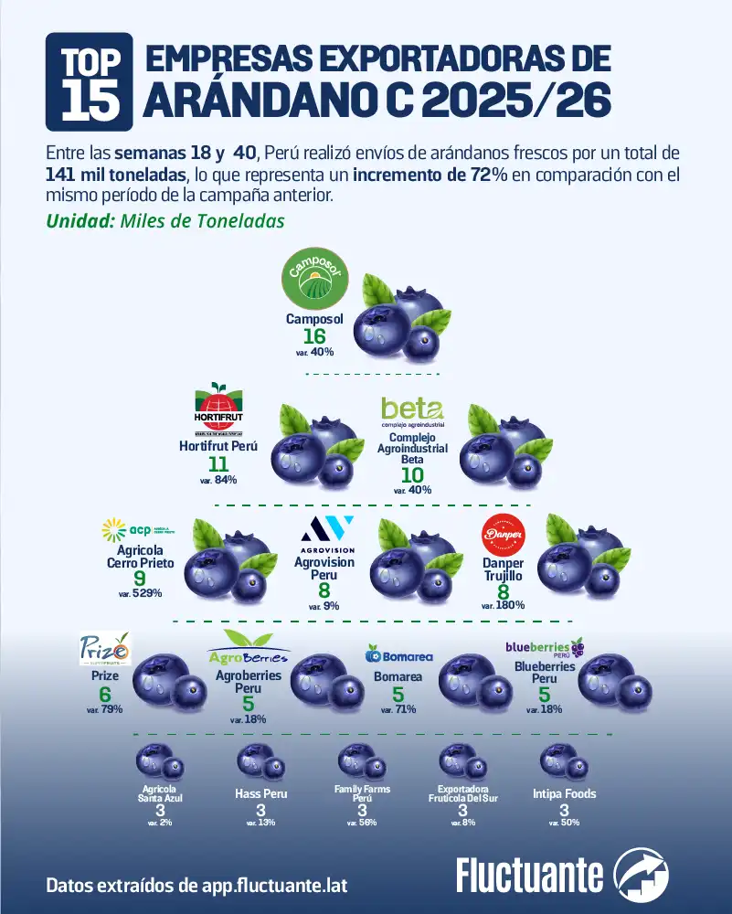 Top-15-Empresas-Exp-Arándano-25-26