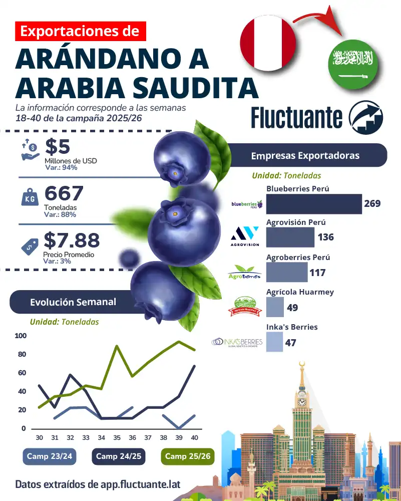 Exportaciones-de-Arándanos-a-Arabia-Saudita