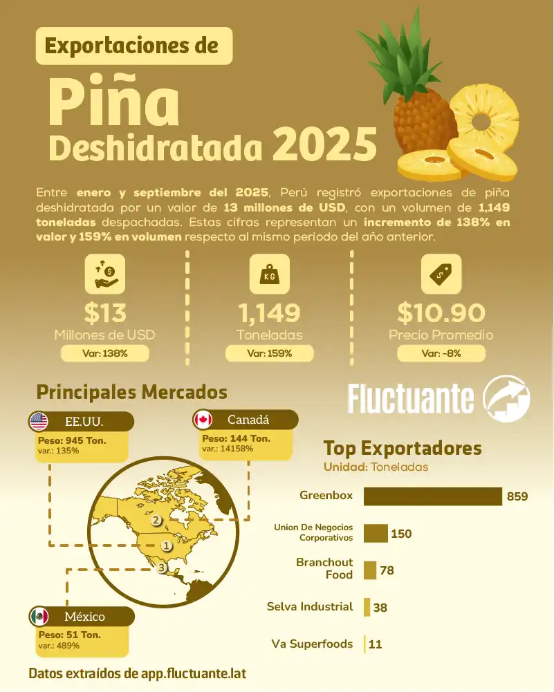 Exportaciones-de-Piña-Deshidratada-2025