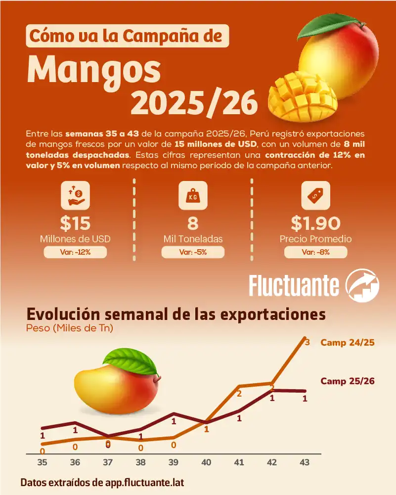 Campaña-de-Mangos-2025-26
