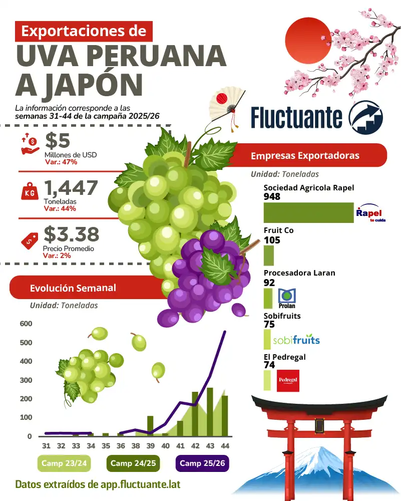 Exportaciones-de-Uva-Peruana-a-Japón