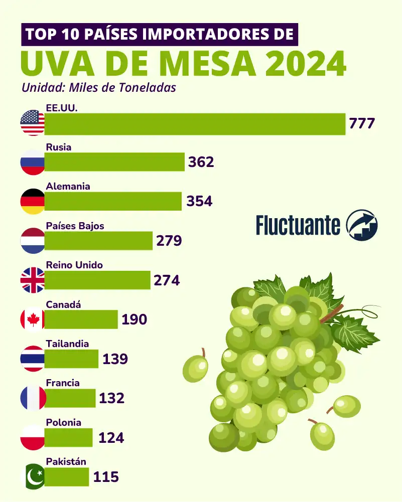 Top-10-Países-Importadores-de-Uva-2024