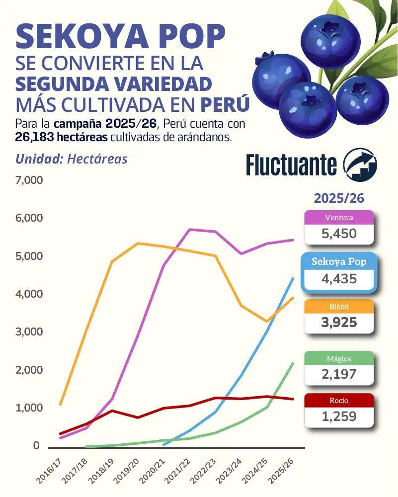Sekoya-Pop-Segunda-Variedad-en-Perú