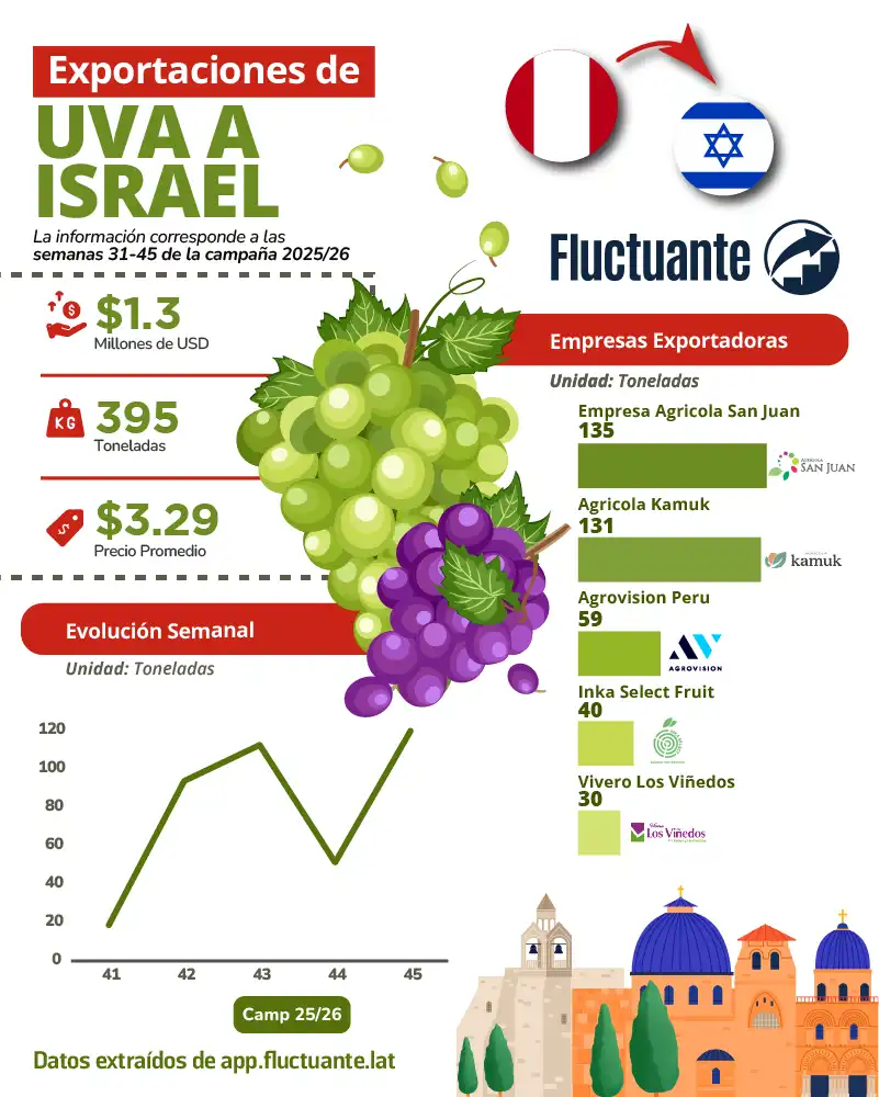 Exportaciones-de-Uva-a-Israel