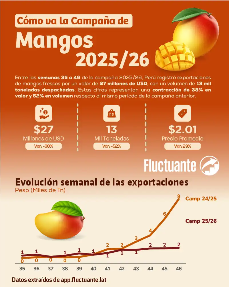 Cómo-va-la-campaña-de-Mangos-2025-26