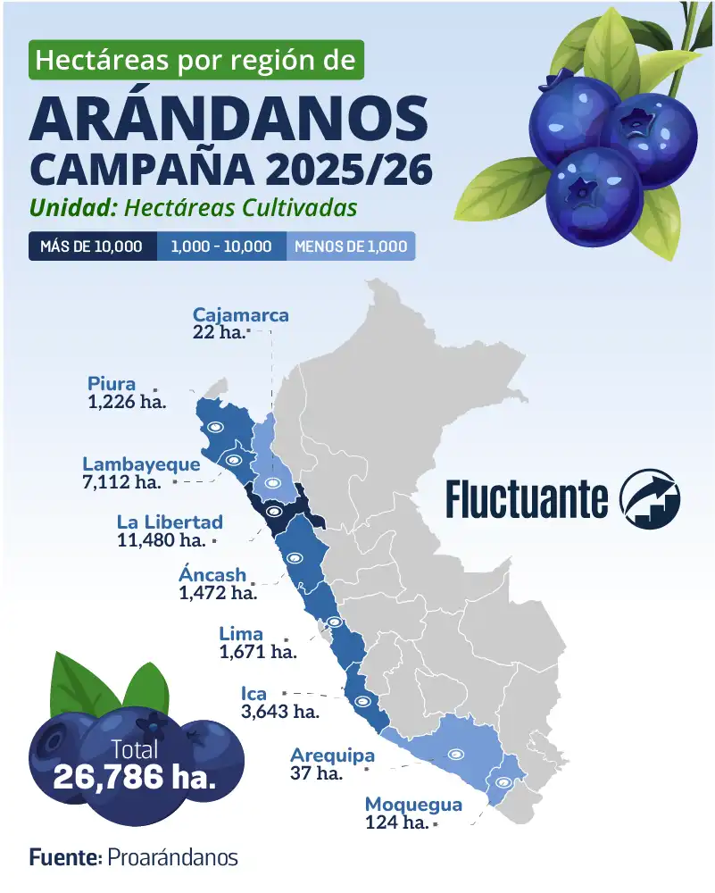 Hectáreas-por-región-Arándanos-2025-26