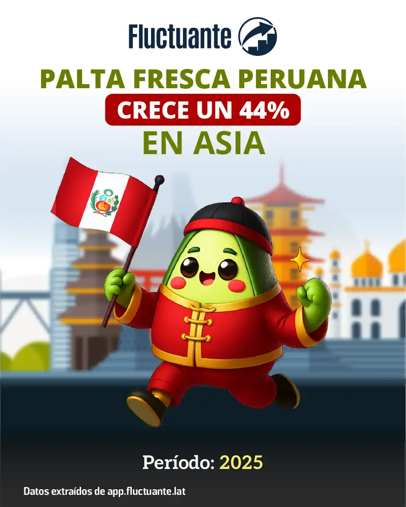 Palta-fresca-peruana-crece-44