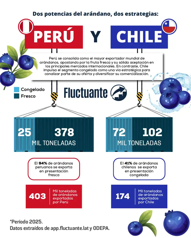 Dos-potencias-de-la-exportación-de-arándano-Perú-y-Chile