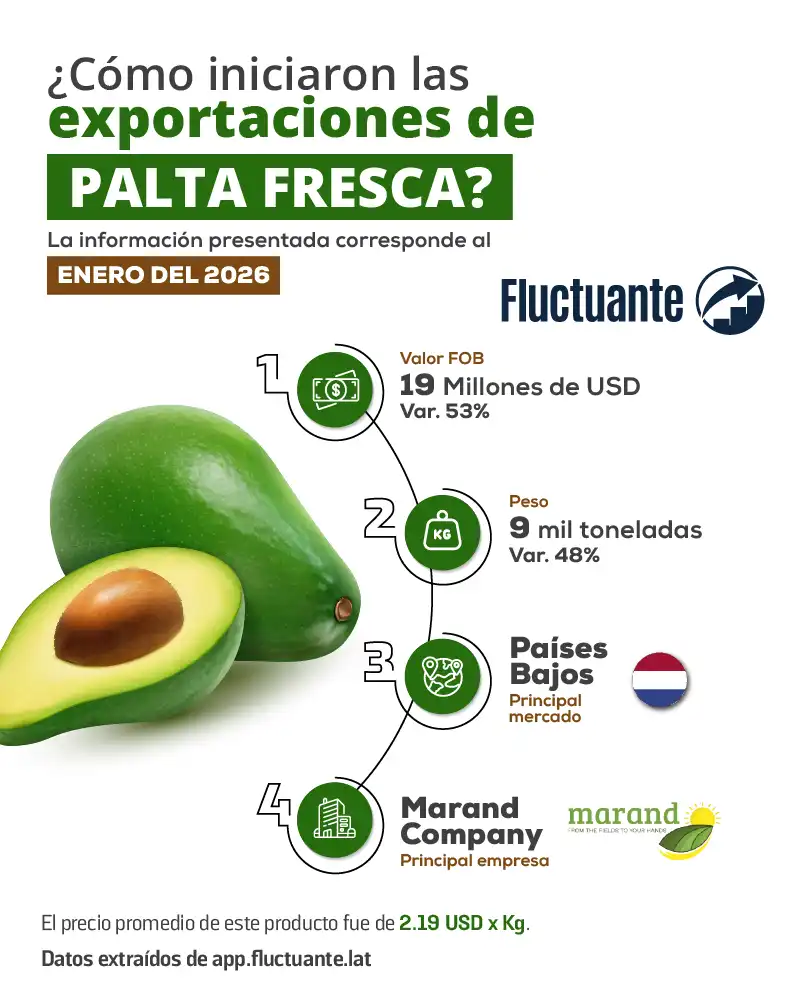 Cómo-iniciaron-las-exportaciones-de-Palta-Fresca