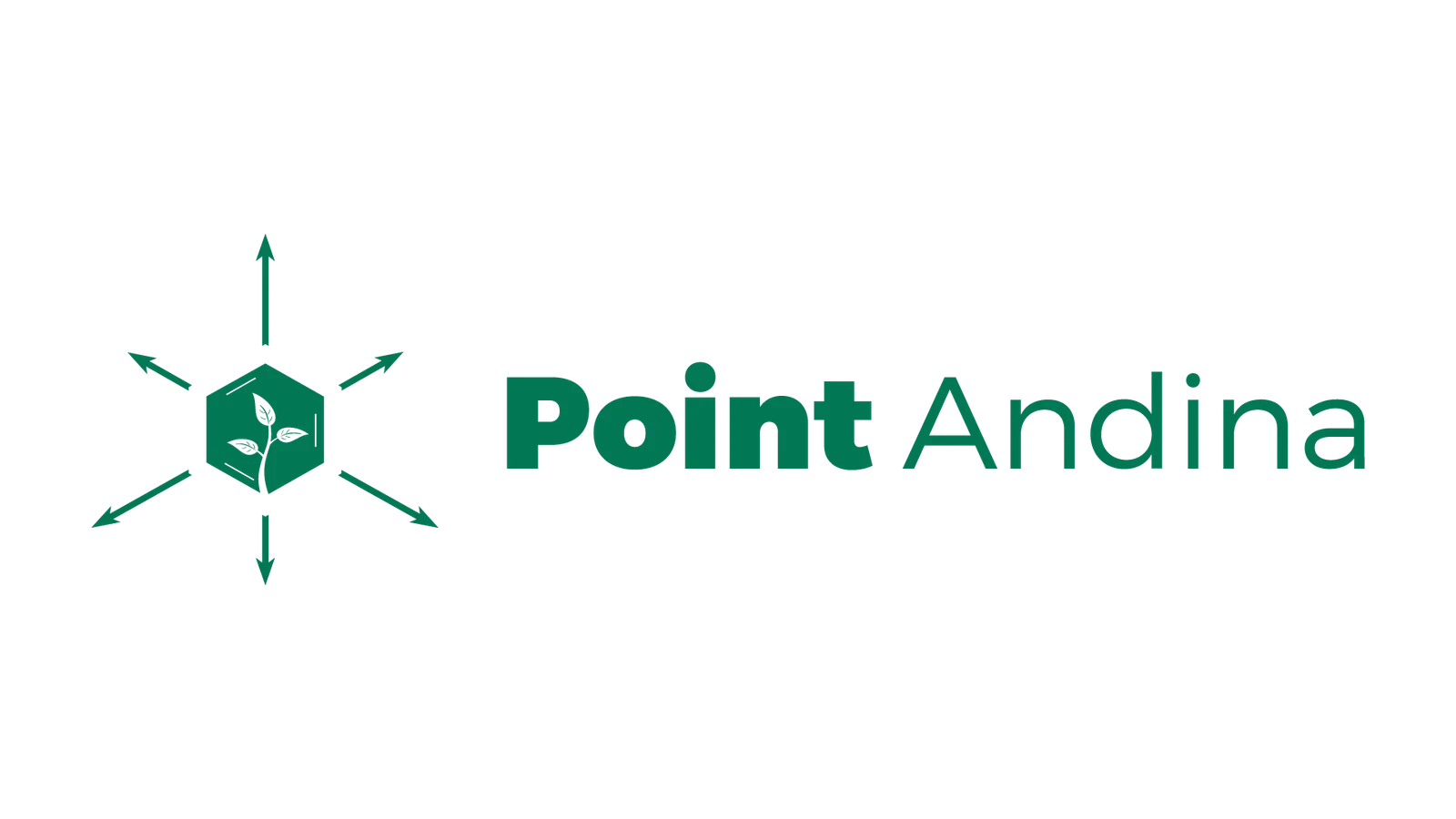point-andina
