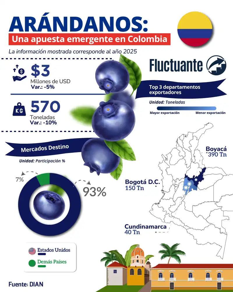 Arándanos-Apuesta-emergente-Colombiana
