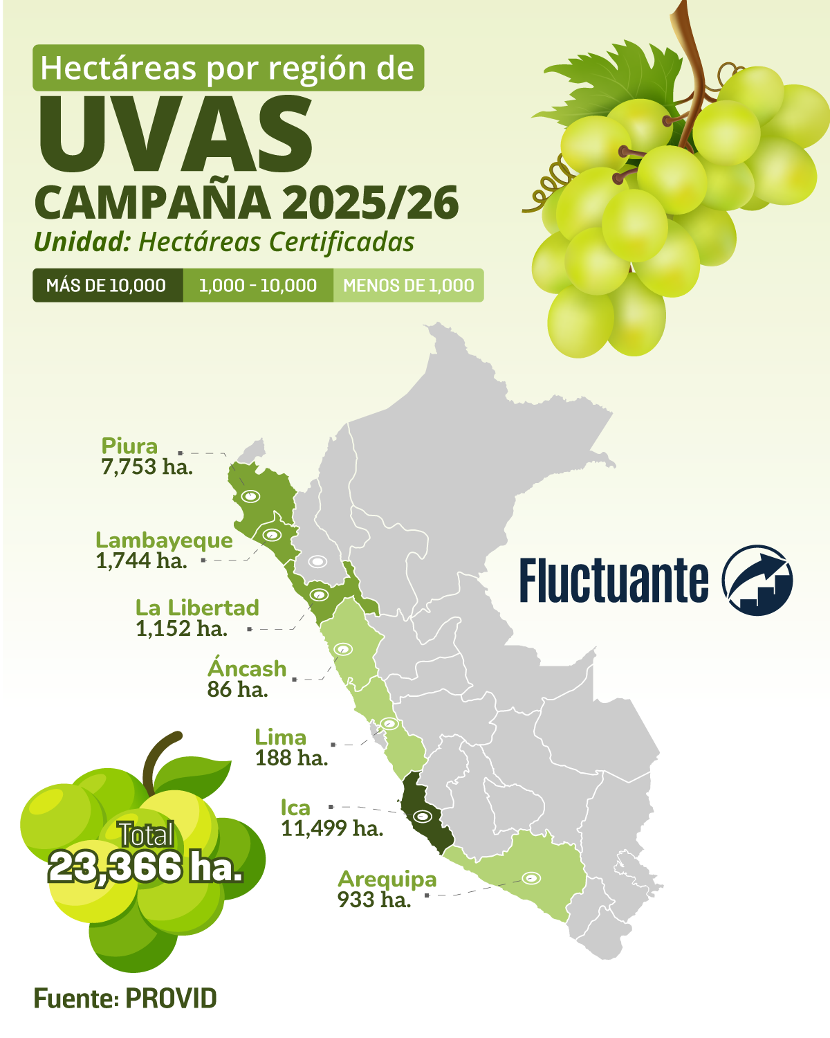 Hectáreas-por-Región-Uvas-25-26