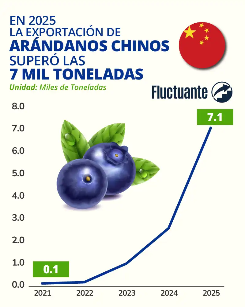En-2025-Exportación-Arándanos-Chinos-7k-ton