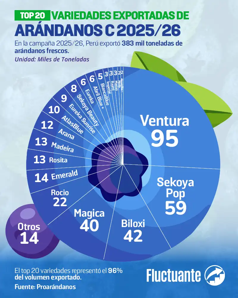 Top-20-Variedades-exportadas-Arándanos-C-2025-26